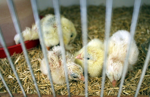 Nachhaltigkeit leben